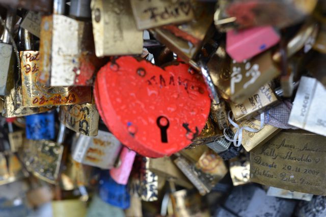 Love Locks on the Pont Des Arts Bridge Paris France 003