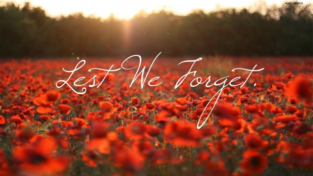 Remembrance Day Poppy Fields | Mr. Locksmith