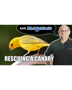 Pet Rescue Mr Locksmith