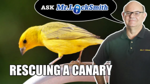 Canary Rescue to Meth Lab Mr Locksmith