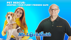 Pet Rescue Keeping Your Furry Friends Safe with Ask Mr Locksmith